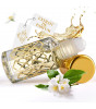 Gentle Fluidity Gold 6ml Parfümöl - Misk Musk
